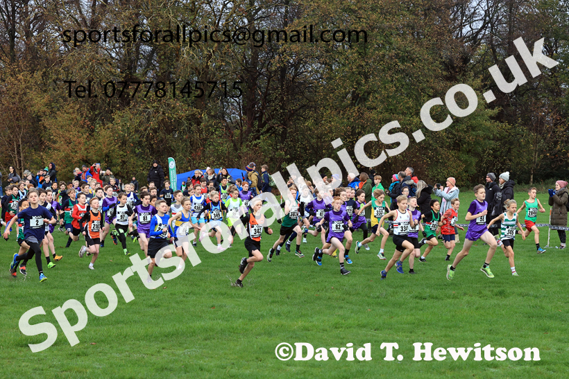 Boys Under-11s 2025 Liverpool Cross Challenge, Sefton Park, Saturday, November 22th. Photo: David T. Hewitson/Sports for All Pics